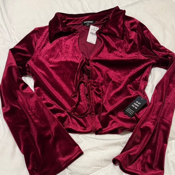 EXPRESS VELVET TOP - Picture 2 of 5